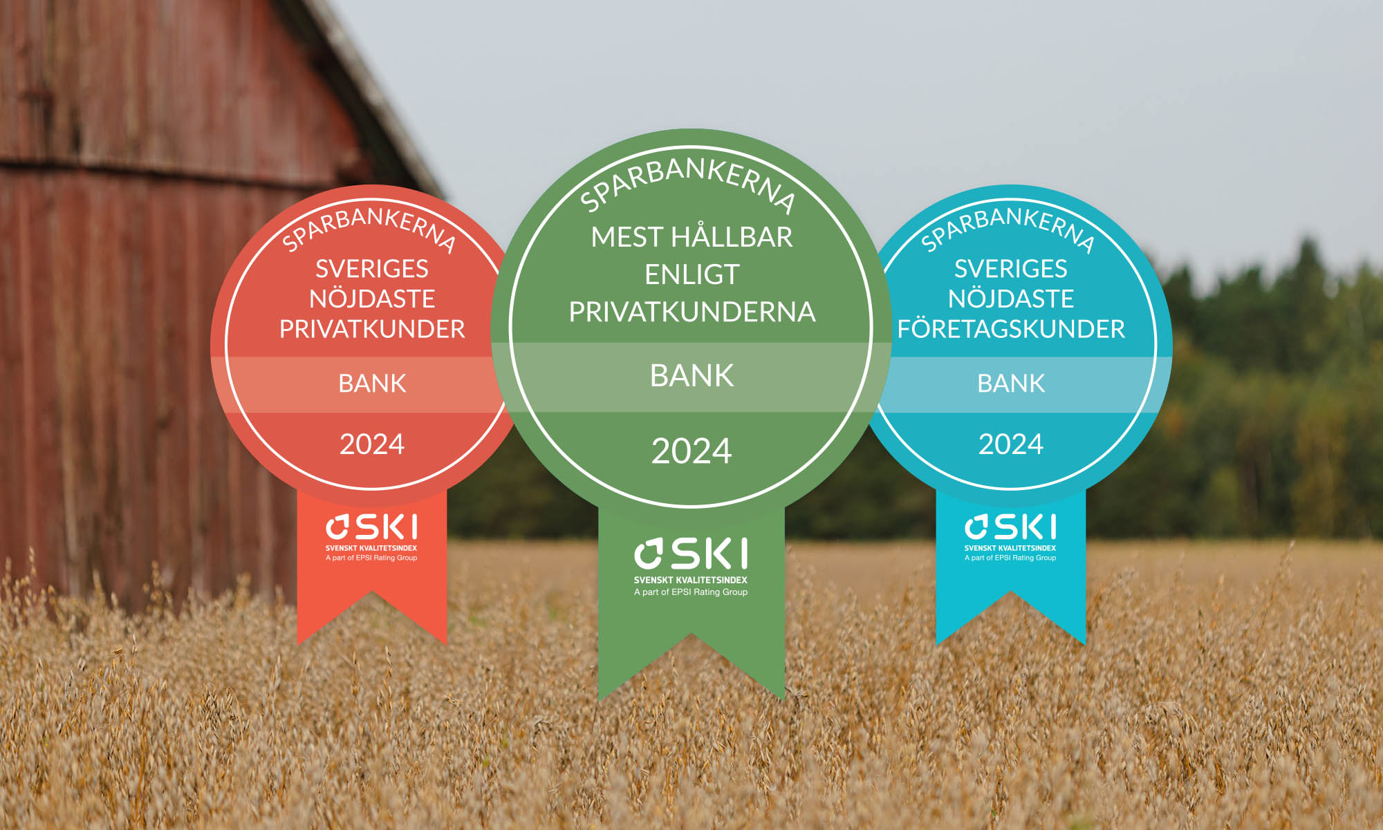 SKI 2024 - Sparbankerna